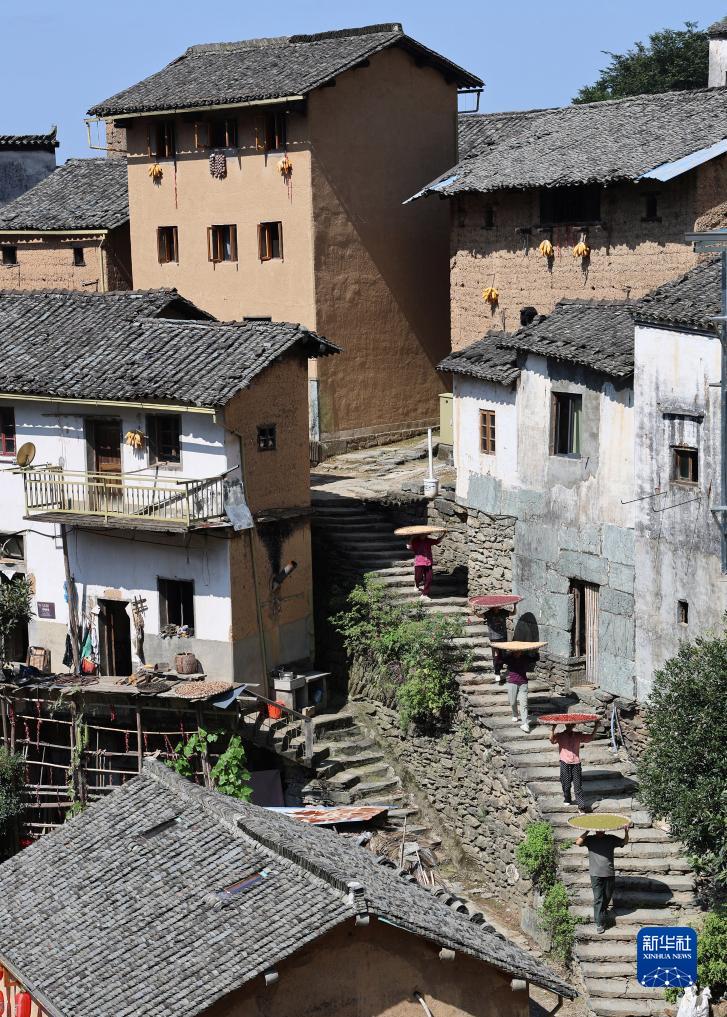 ???? ???? ??????: ????? ???????? ???????? ?? ???? ????? ??????