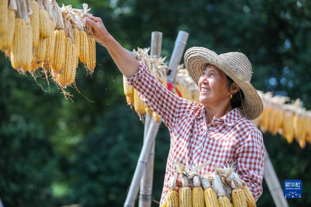 ???? ???? ??????: ????? ???????? ???????? ?? ???? ????? ??????