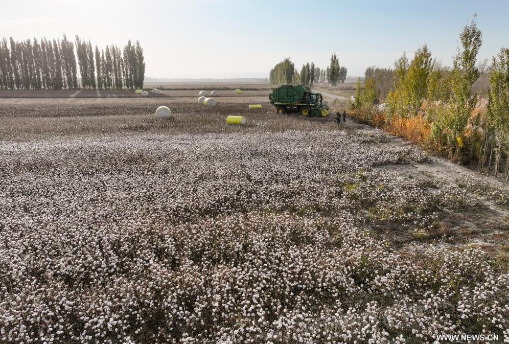 ???? ???? ????? ?? ????? ???????? ????? ???? ?????