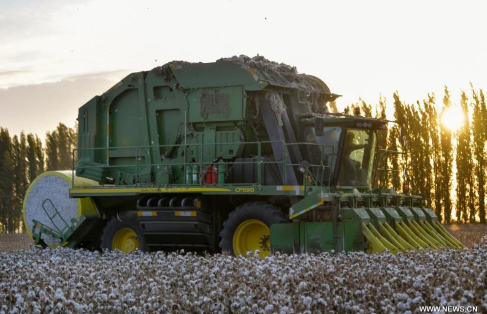 ???? ???? ????? ?? ????? ???????? ????? ???? ?????