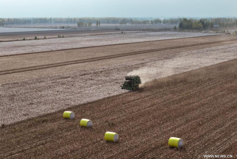 ???? ???? ????? ?? ????? ???????? ????? ???? ?????