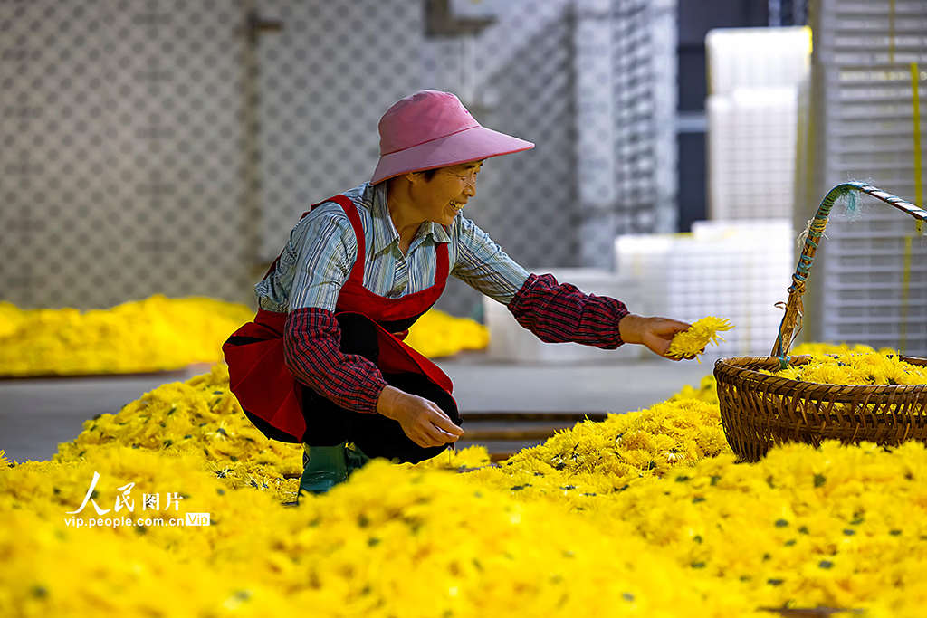 ????? ????????? ???? ????? ???????? ????? ??????? ?????? ??????