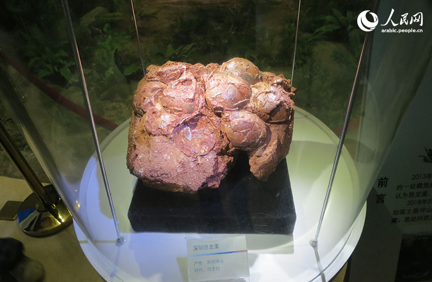 ???? ????????? ????? ??????: ????? ?????? ?????????? ????? ??? ????? ????? ??????