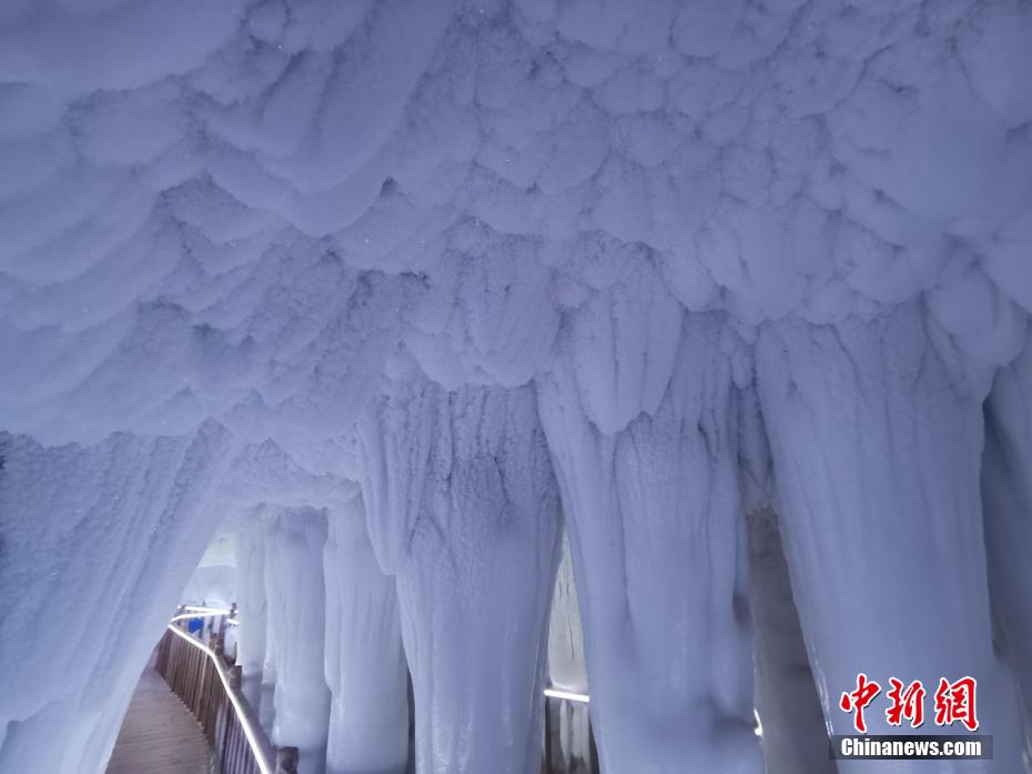 ?????? ???????? ???? ??????? ??????: ???? ??