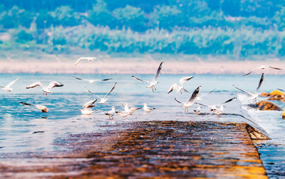 ???? ????? ?????? ?? ??? ??????