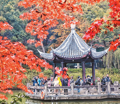 ???? ????? ?????? ?? ??? ??????