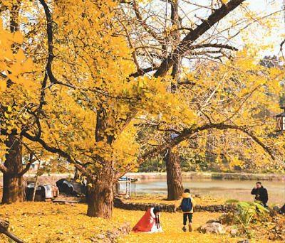 ???? ????? ?????? ?? ??? ??????