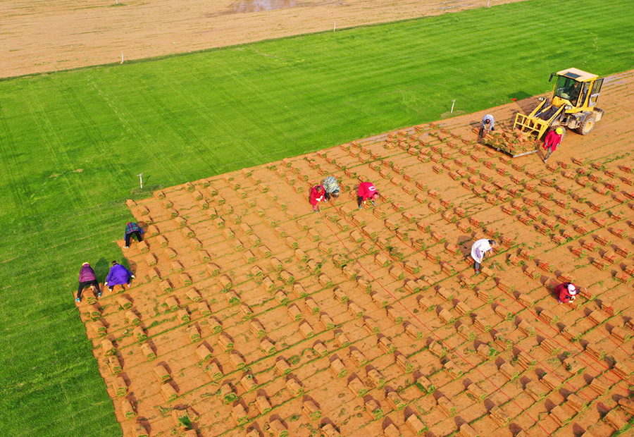 ?????? ???????: ???? ???? ?????