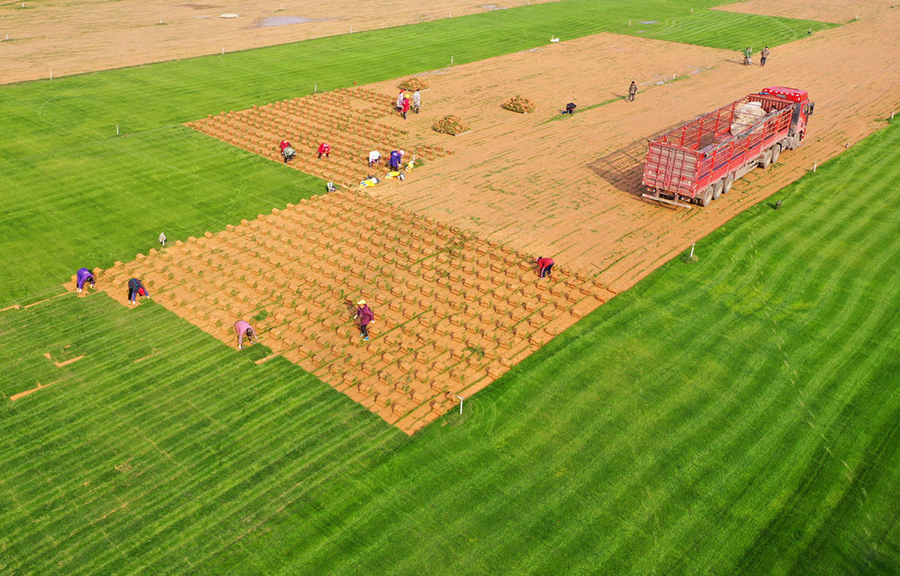 ?????? ???????: ???? ???? ?????