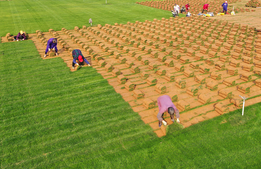 ?????? ???????: ???? ???? ?????