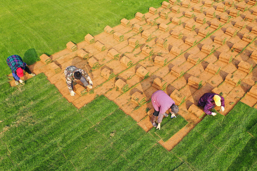 ?????? ???????: ???? ???? ?????