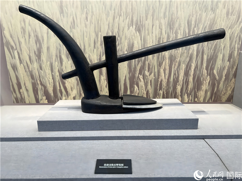 ???? ????????? ???? ??? 5 ???? ??? ?? ??????? ??????