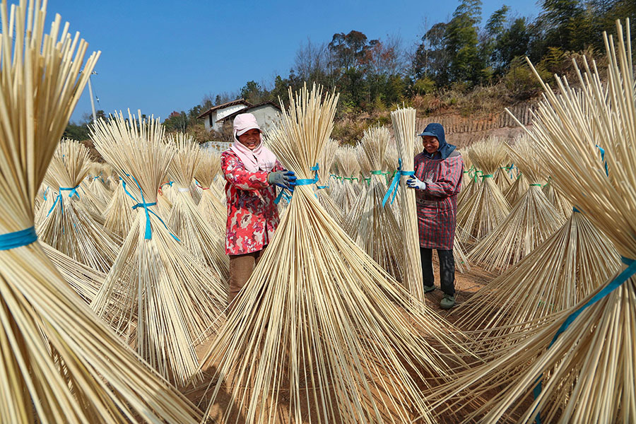 ??????????? ???????: ?????? ?????? ???? ???? ?????