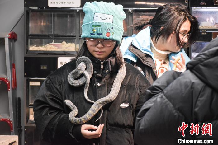 ??? ?????? ????? ?????? ?????? ???? ?? ????????