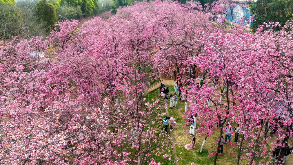 ??????: ????? ???? ???? ????? ?? ????? ??????? ????? ?????? ?????? ???? ???? ?????