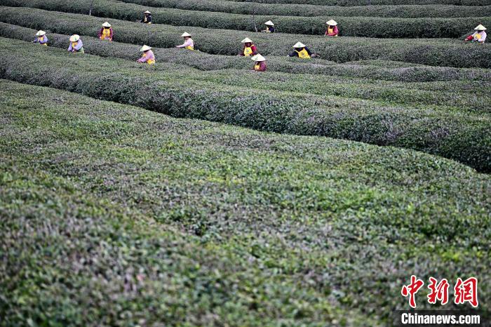 ??????? ?????? .. ????? ????? ?????? ??????