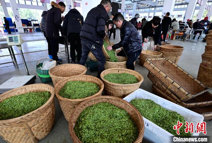 ??????? ?????? .. ????? ????? ?????? ??????