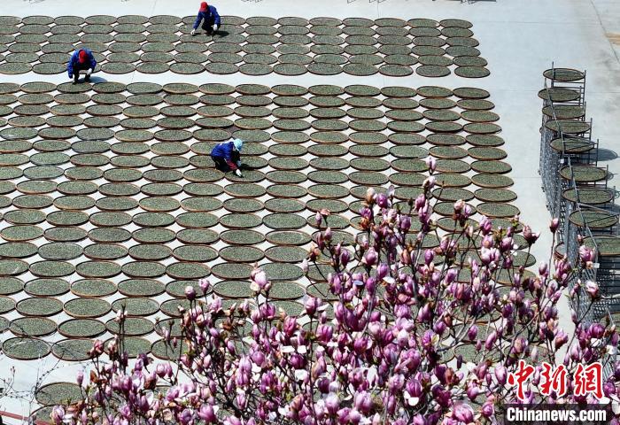 ??????? ?????? .. ????? ????? ?????? ??????