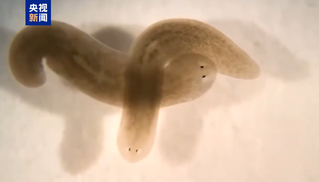 ???? ?????? ??????? ????? ????? ???? ?????????? ??? ??????? ??????? ????????