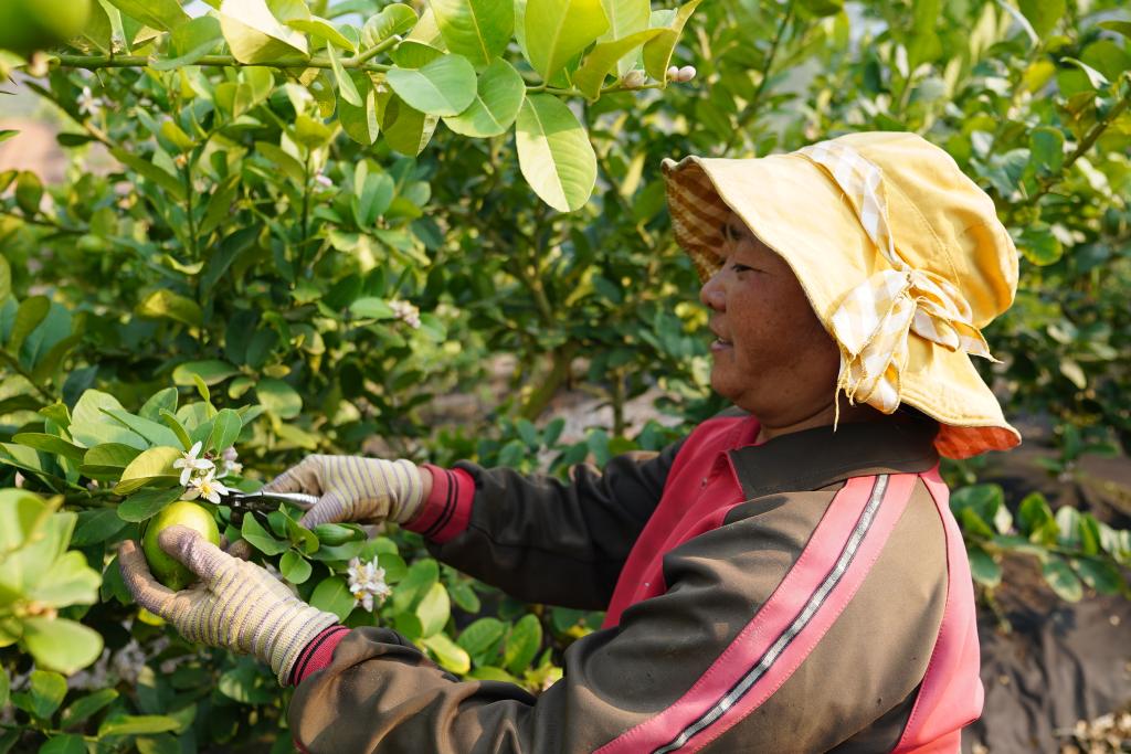 ??????: ????? ????? ??????? ?? ?????? ?????? ????? ???? ?????