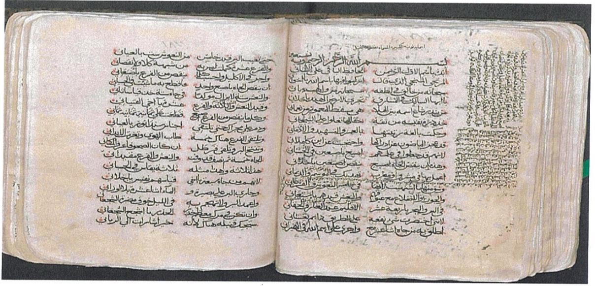 ????? ?????? ?????? ?? ?????? ????? ?????? ??????