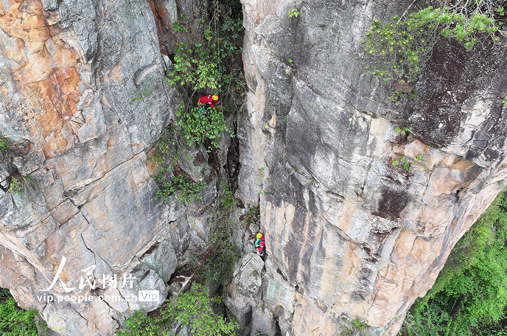 ????? ?????? ???????????: ????? ??? ????????? ???? ???????