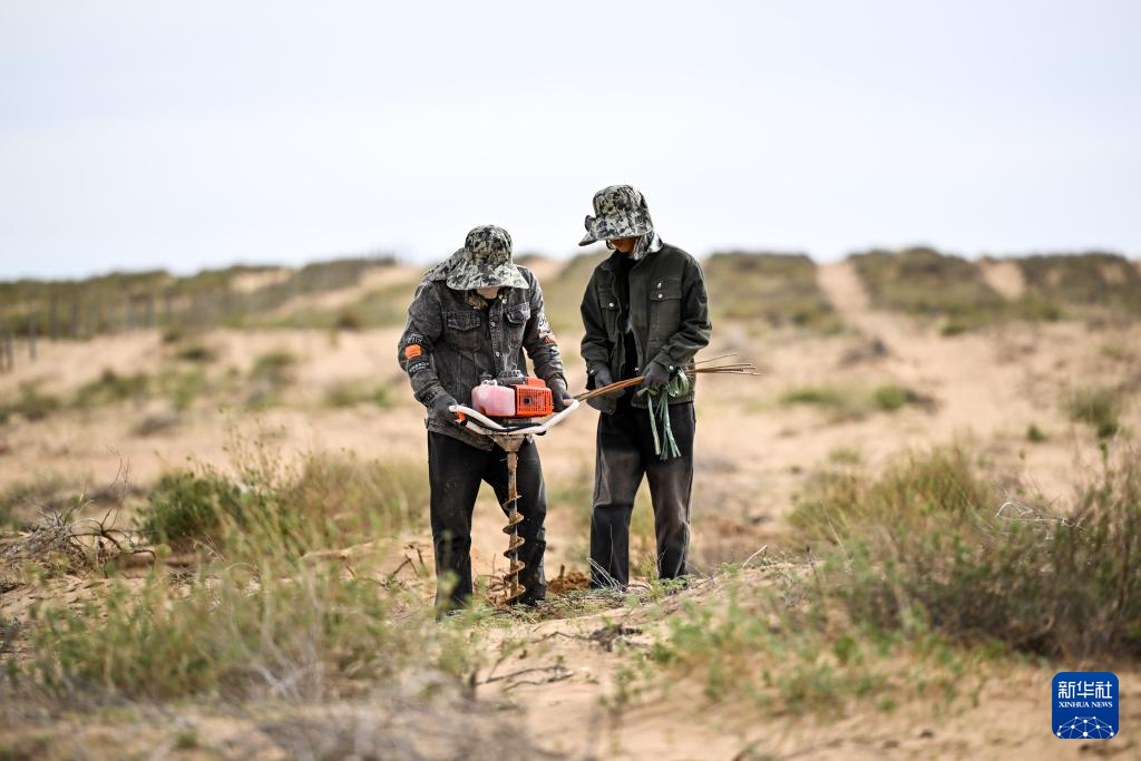 ???? ???? ?????? ?????? ?? ????? ???????