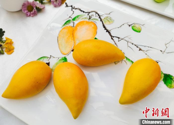 ??????? ???????? ?? ??????? ?????? ??????? ?????? ??????? ????????? ????????