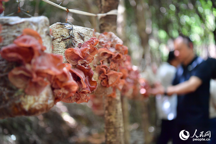 ?? ???????... ???? ??? ??????? ???????