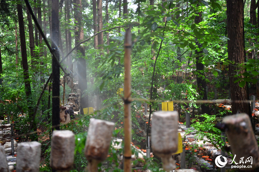 ?? ???????... ???? ??? ??????? ???????