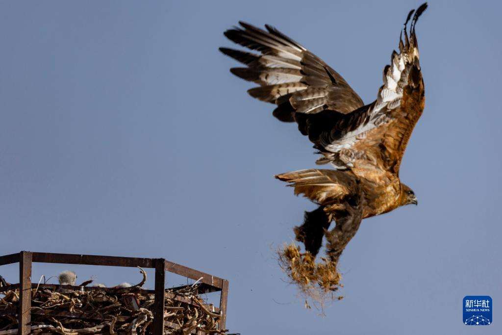 ????? ?????????? ?? ???????: ?????? ???????? ???? ???? ???????