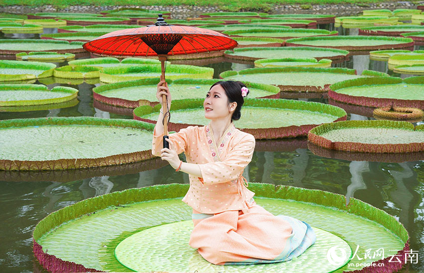 ???? ????? ??????? ?? ????? ???? ?? ????????????