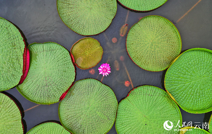 ???? ????? ??????? ?? ????? ???? ?? ????????????