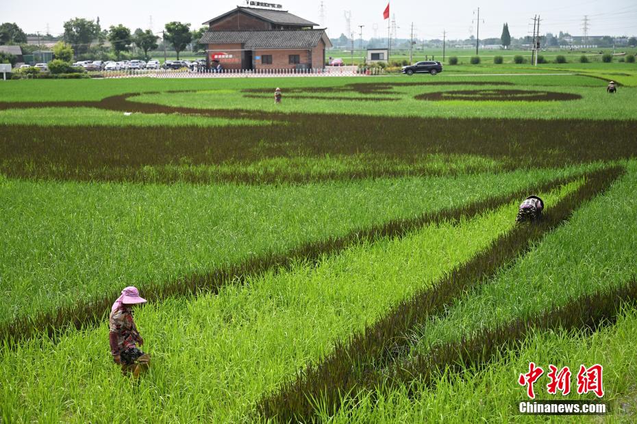 ?? ???????? ??? ?? ????? ?????? ???? ??? ??? ????? ??????