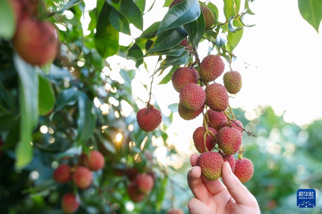 ????? ??????? ??? ????? ??? ???? ?????????? ?? ???