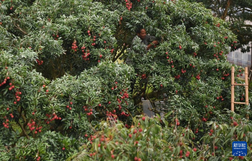 ????? ??????? ??? ????? ??? ???? ?????????? ?? ???