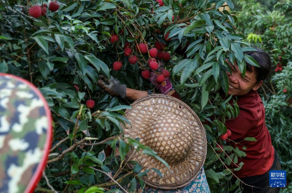 ????? ??????? ??? ????? ??? ???? ?????????? ?? ???