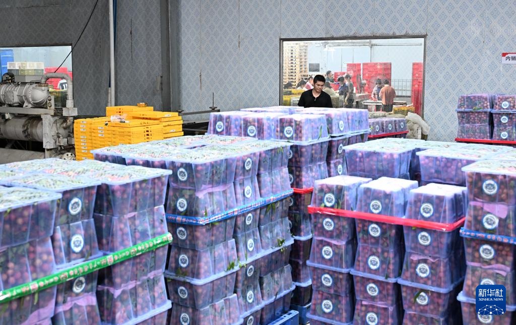 ????? ??????? ??? ????? ??? ???? ?????????? ?? ???