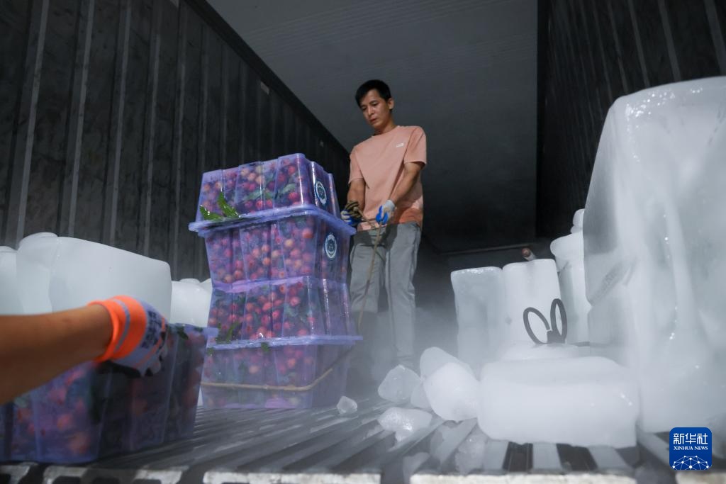 ????? ??????? ??? ????? ??? ???? ?????????? ?? ???