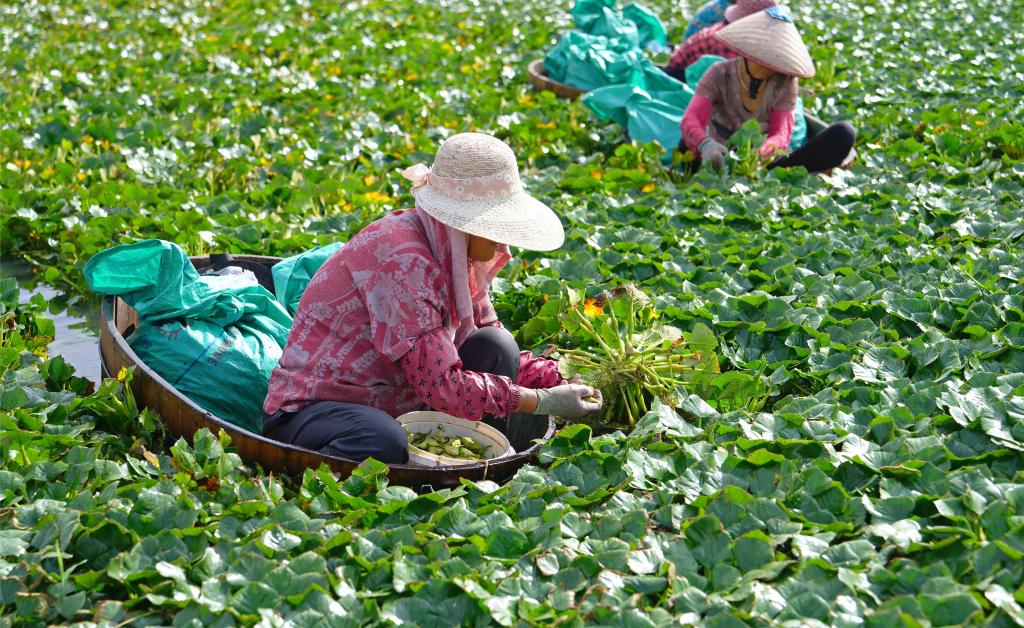 ??????: ??? ???????? ?????? ?? ?????? ??????? ????? ?????