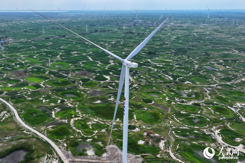 ???? ???? ?? ??????? ??? ????? ?????? ???????