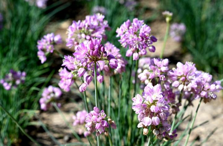 ????? ??????.. ?? ???? ?????? ??? ???? ??? ??? ????? ????? ?? ?????