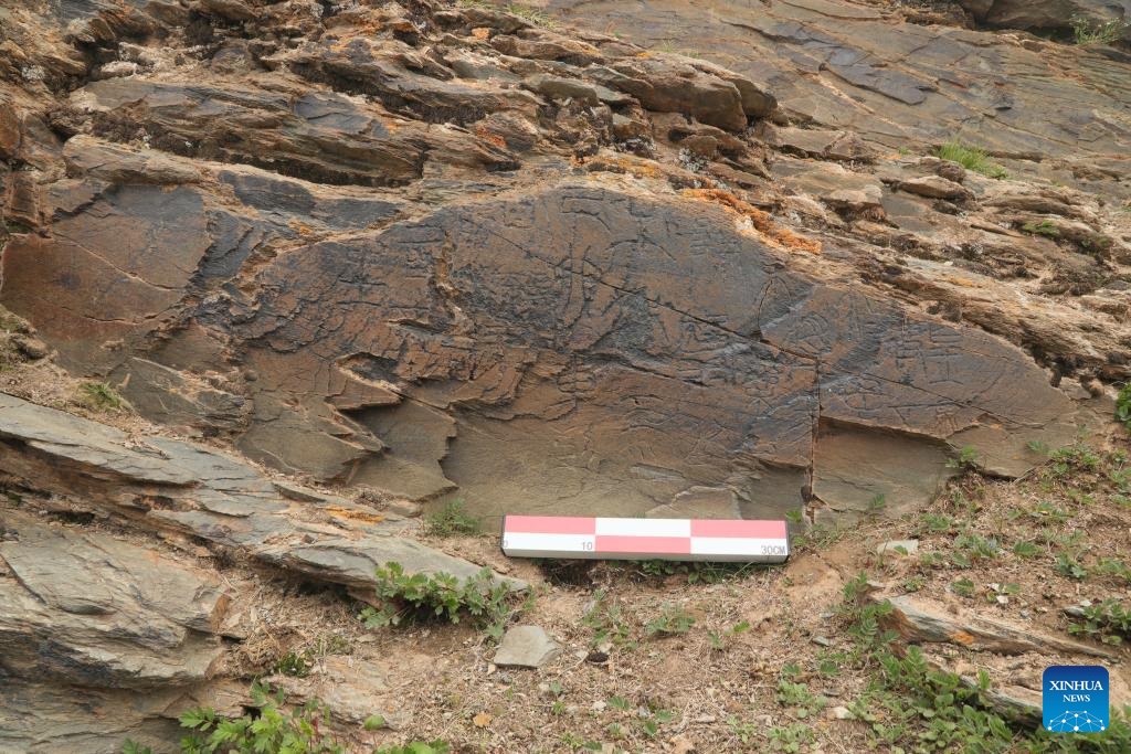 ????? ????? ???? ?????? ???? ??? ??? ???? ???? ??? ???? ????????-?????