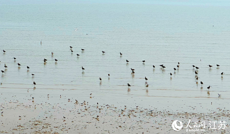 ?????? ????? ??????? ???????? 2025 ?? ????? ??????? ??????? ???????