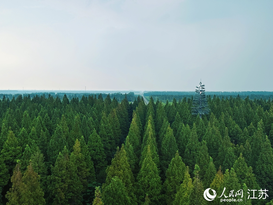 ?????? ????? ??????? ???????? 2025 ?? ????? ??????? ??????? ???????