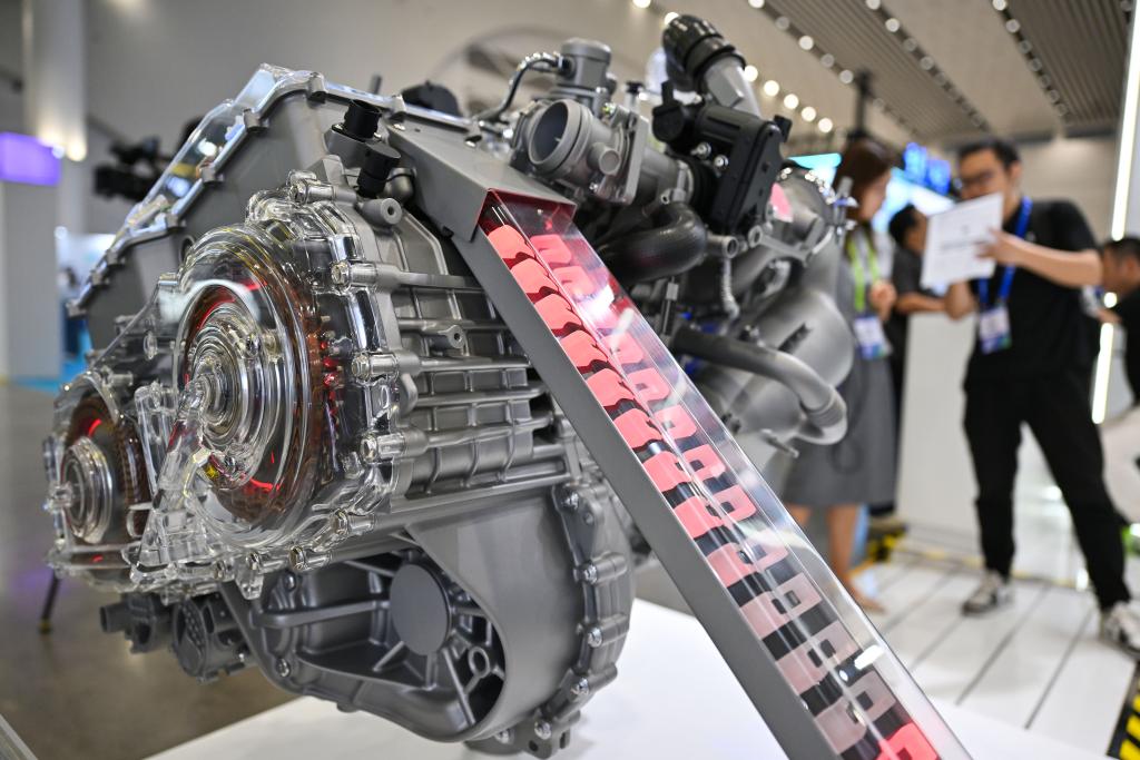 ??????: ??????? ??????? ??????? ?????? ??????? 2025 ?? ????? ?????