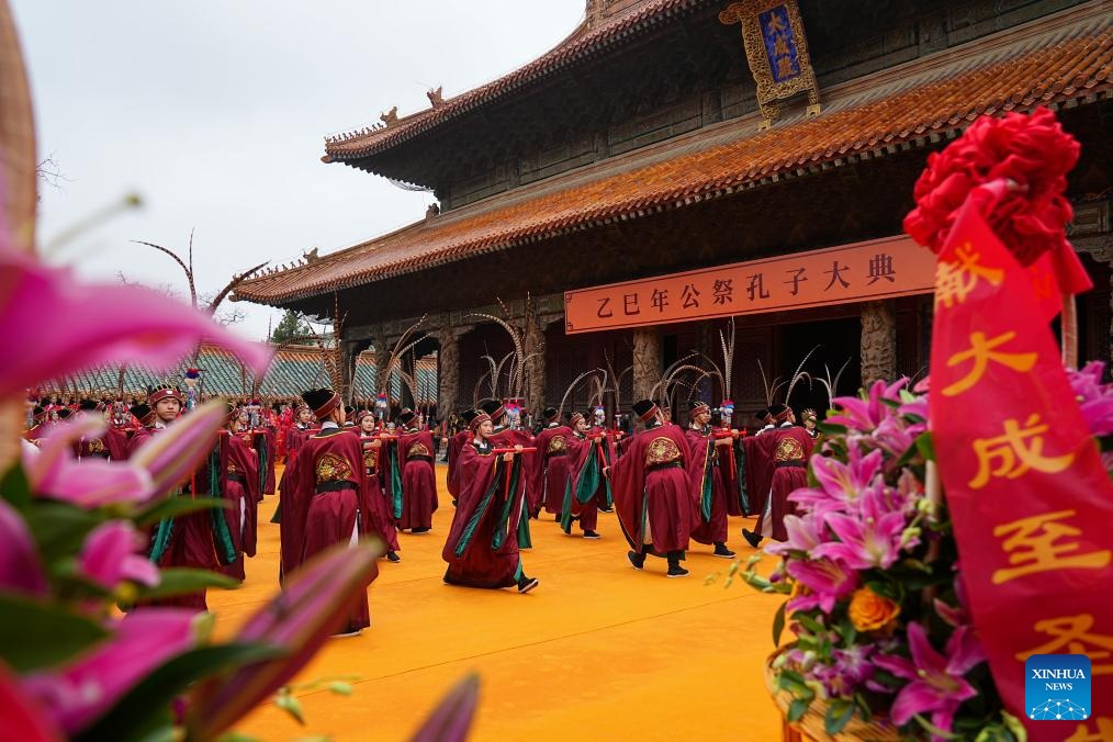 ????? ???? ?????? ???2576 ?????? ?????????