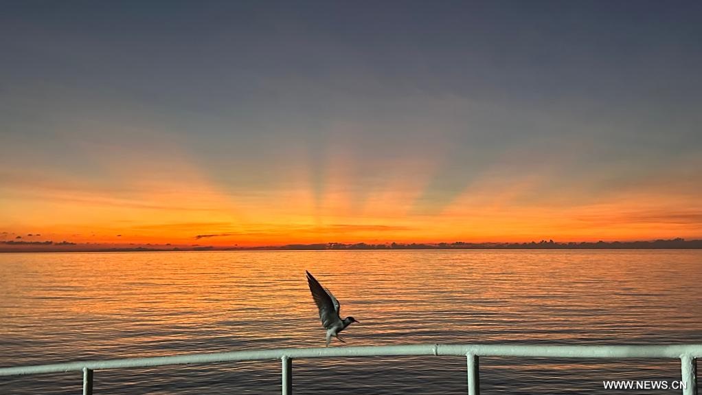 ????? ???????? ??? ???????? ??????? ?? ????? ?????