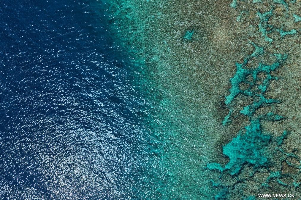 ????? ???????? ??? ???????? ??????? ?? ????? ?????