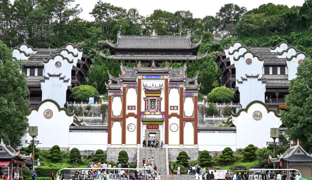 ????? ????? ???? ????? ?????? 800 ????? ???? ?? ???? ????? ??????